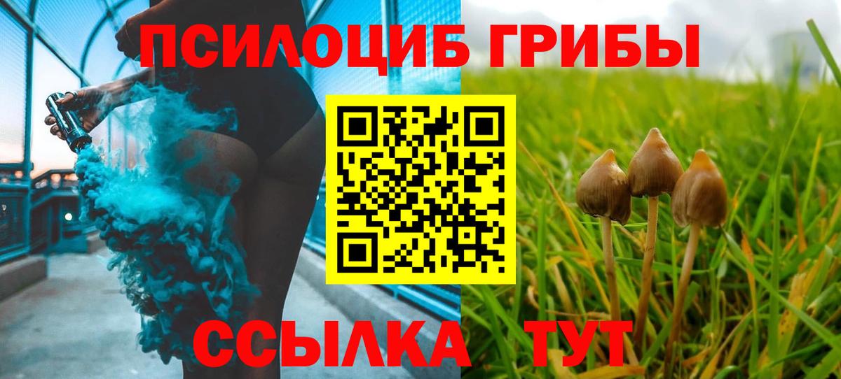 Галлюциногенные грибы Magic Shrooms Мурманск