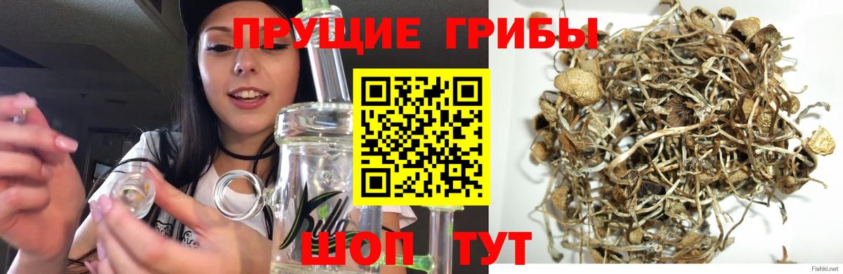 Псилоцибиновые грибы Cubensis  Вход с VPN  Мурманск 